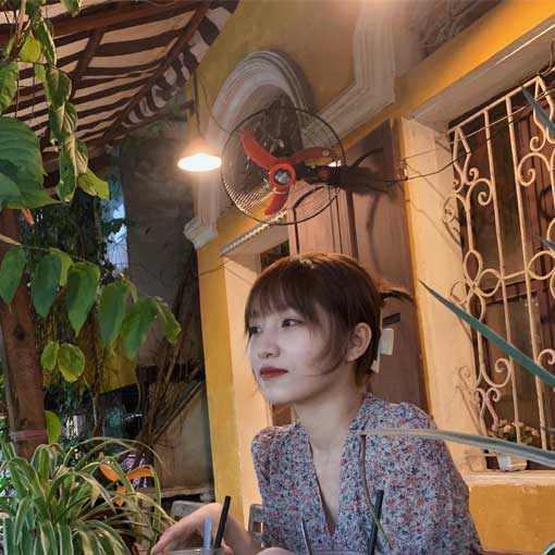 Van Anh