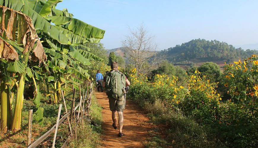 Kalaw One Day Trekking