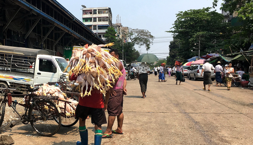 Yangon Circular Train Tour: Colorful Life along the Loop