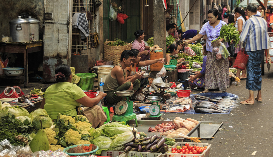 1 Day Yangon to Twante Tour
