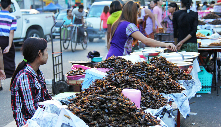 Yangon Food Tour – Private 2 Hour Culinary Adventure
