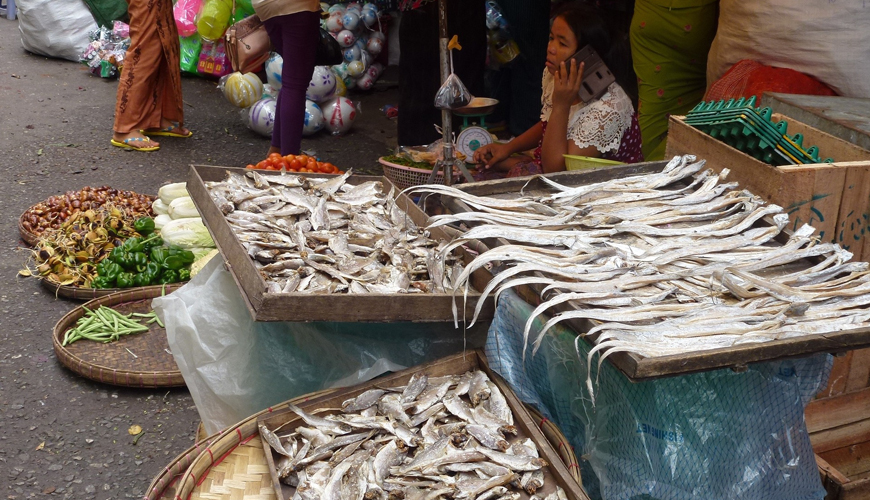 Yangon – Thanlyin – Dala 1 Day