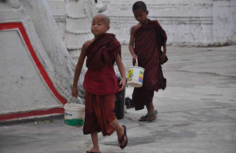 Young Monks Water The Tree